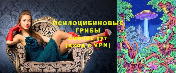 метадон Козловка