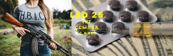 гашик Медногорск