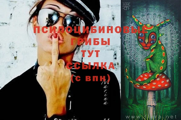 гашик Медногорск