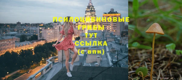 гашик Медногорск