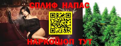 гашик Бийск