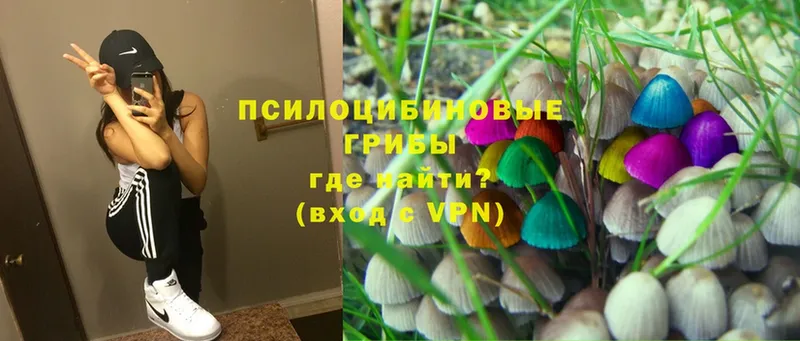 ссылка на мегу tor  shop формула  Железногорск  Псилоцибиновые грибы Psilocybine cubensis  где купить наркоту 