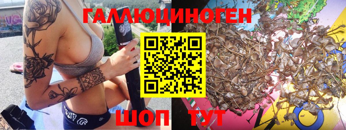 Псилоцибиновые грибы Psilocybine cubensis Железногорск